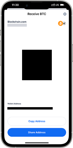 Crypto Wallet Receive Payment